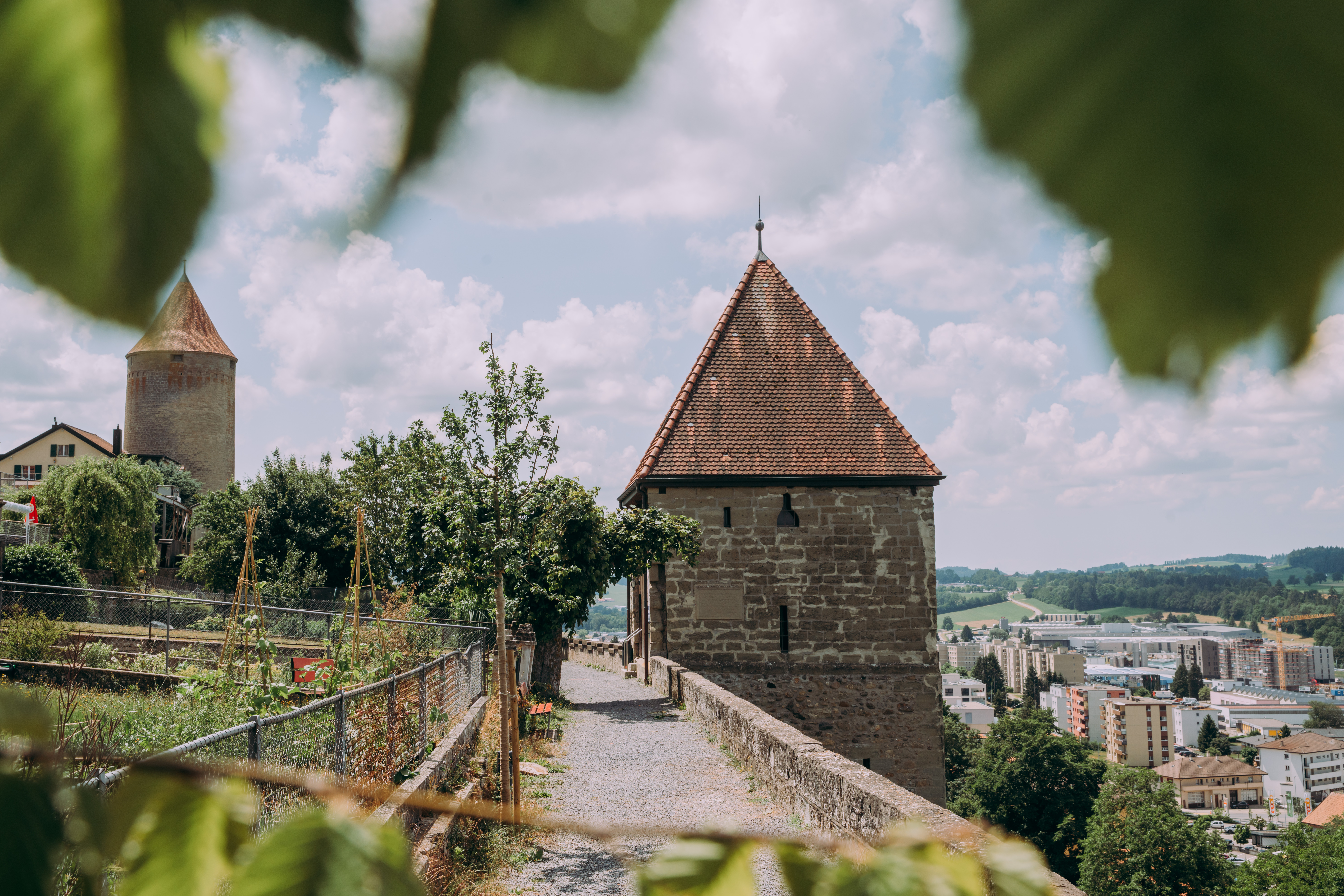 Tour du Sauvage